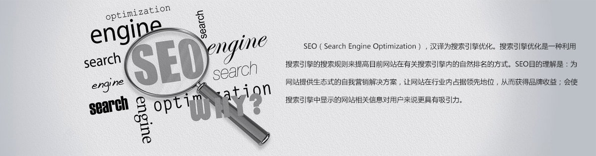 搜索引擎优化、seo